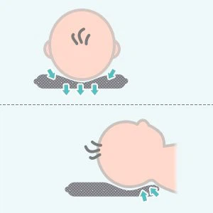 neck cushion